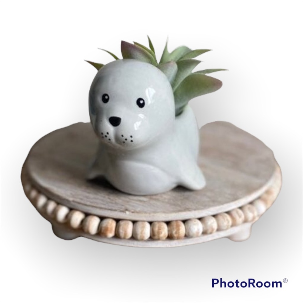 🦭 CERAMIC SEAL ANIMAL PLANTER 🦭
